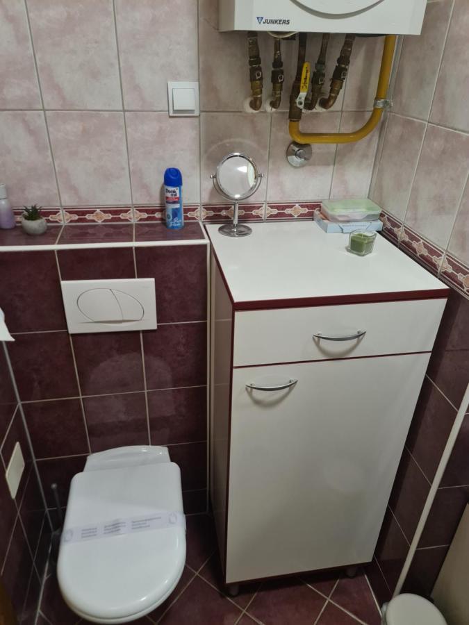 Apartman *Joy* Osijek Bagian luar foto