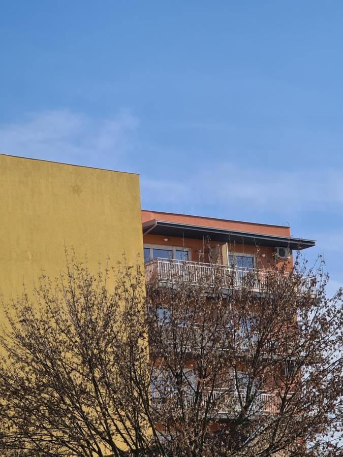 Apartman *Joy* Osijek Bagian luar foto